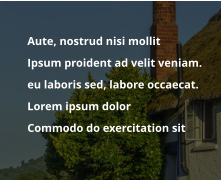 	Aute, nostrud nisi mollit   	Ipsum proident ad velit veniam.  	eu laboris sed, labore occaecat. 	Lorem ipsum dolor  	Commodo do exercitation sit